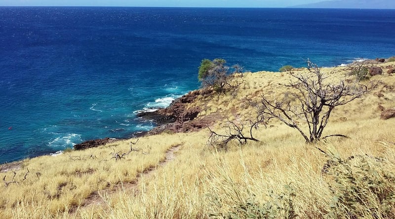 Maui Beach
